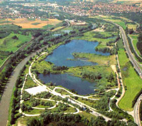 NSG Wernauer Baggersee
